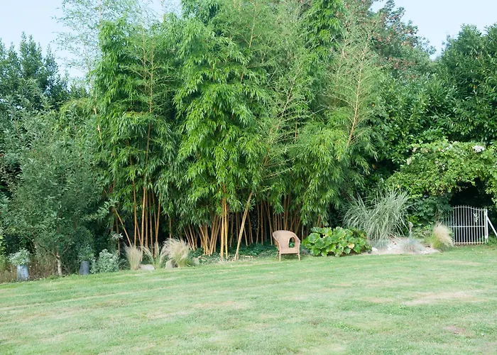 לינה וארוחת בוקר Le Clos De La Hourserie פורניק