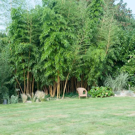 فندق مبيت وإفطار Le Clos De La Hourserie بورنيك