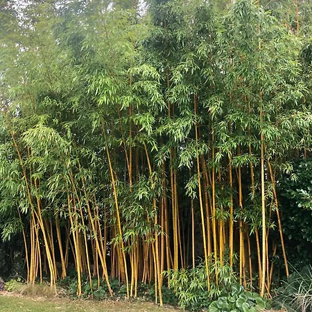 فندق مبيت وإفطار Le Clos De La Hourserie 4*