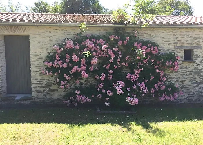 Couette-café Le Clos De La Hourserie